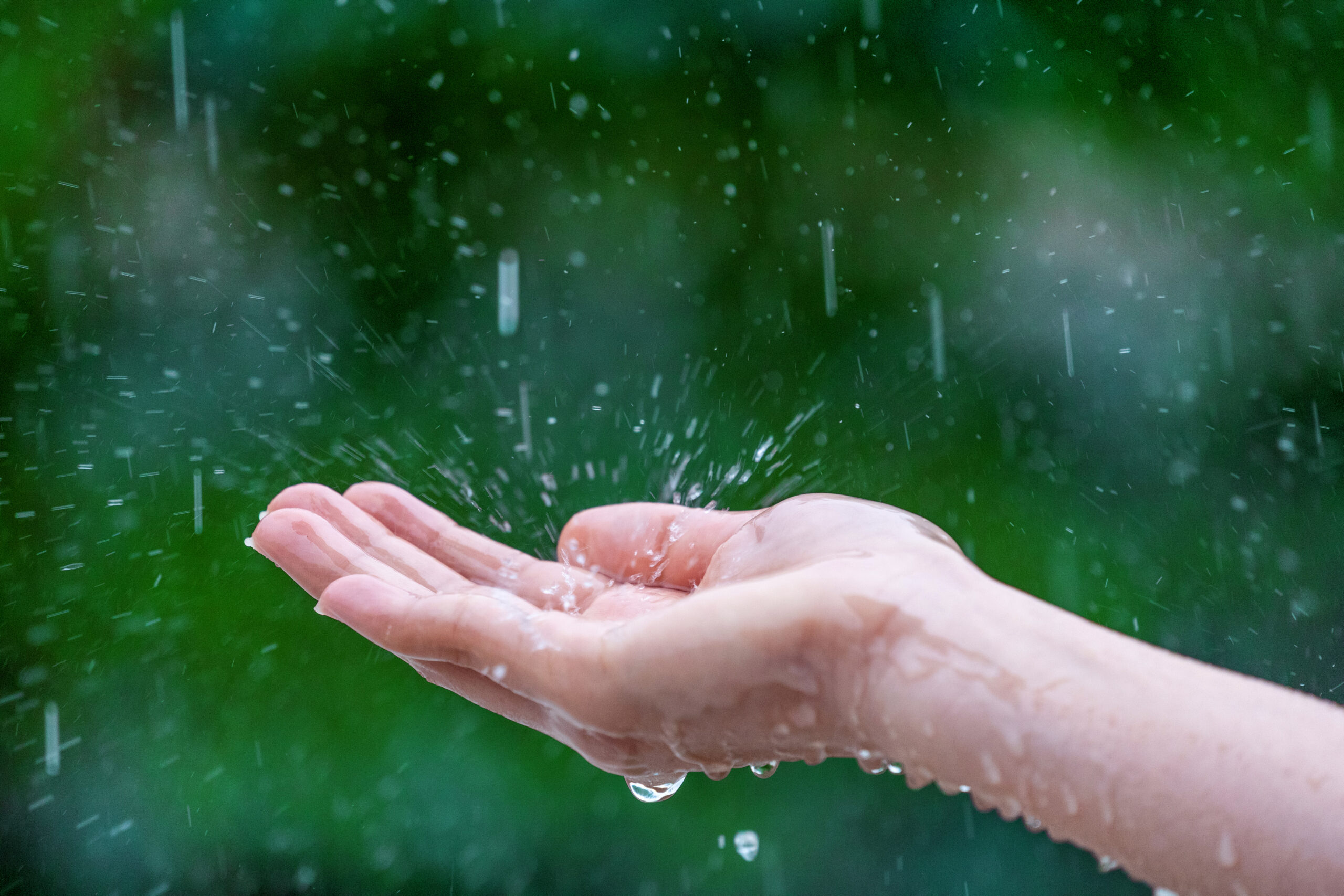Reutilizar Água da Chuva: Como Adotar essa Prática Sustentável e Economizar no Seu Lar