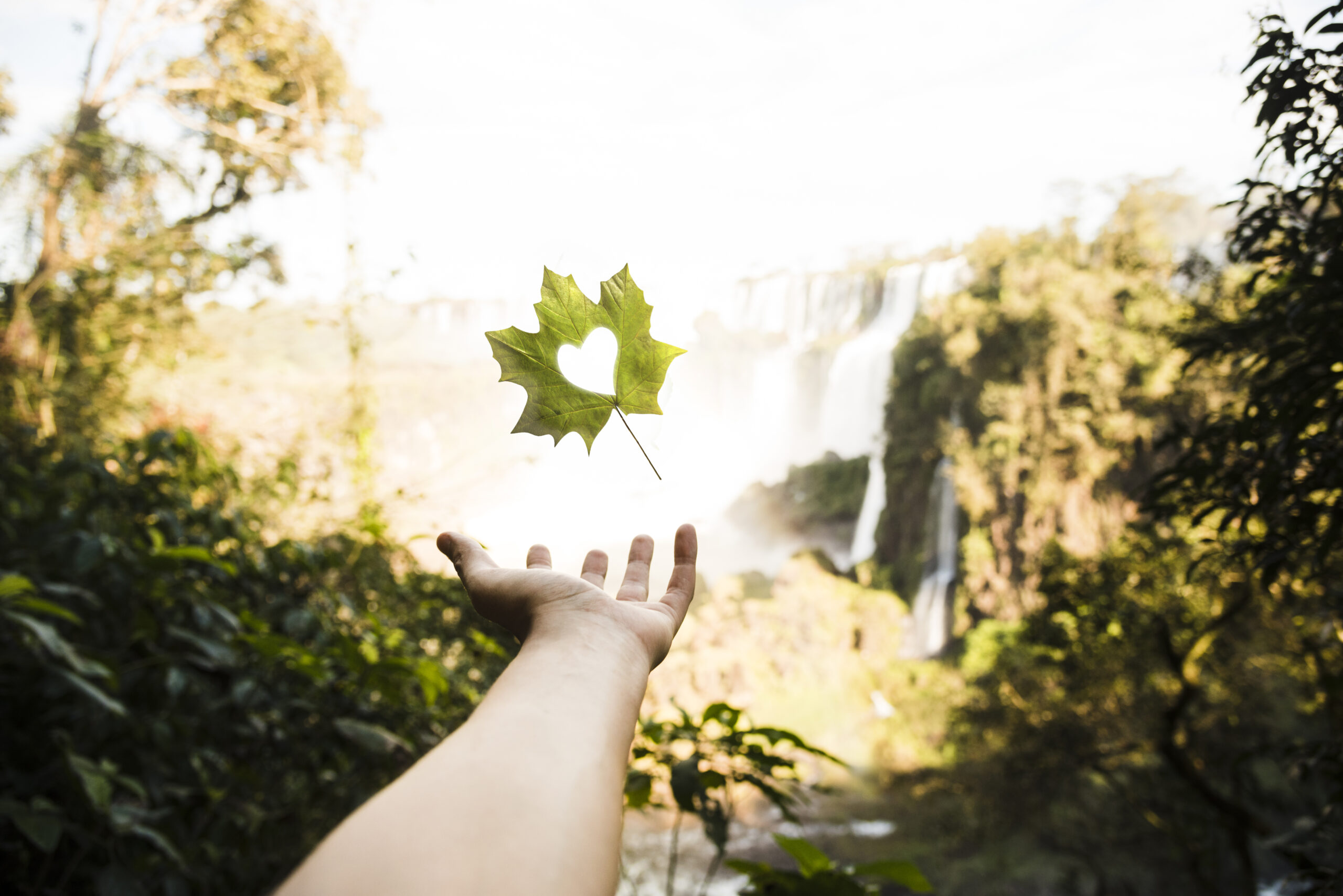 5 Dicas Simples para Começar a Viver de Forma Mais Sustentável