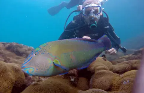 MERGULHO-ARRAIAL-1